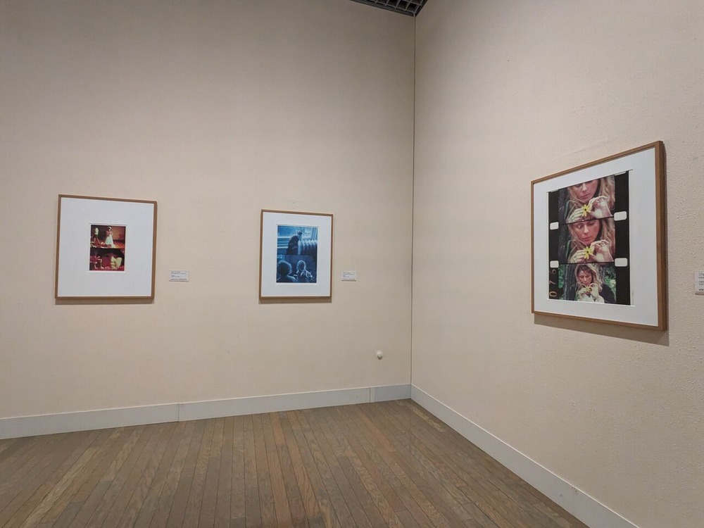 PXL_20240621_075530701