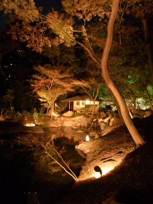 20171121_六義園_12