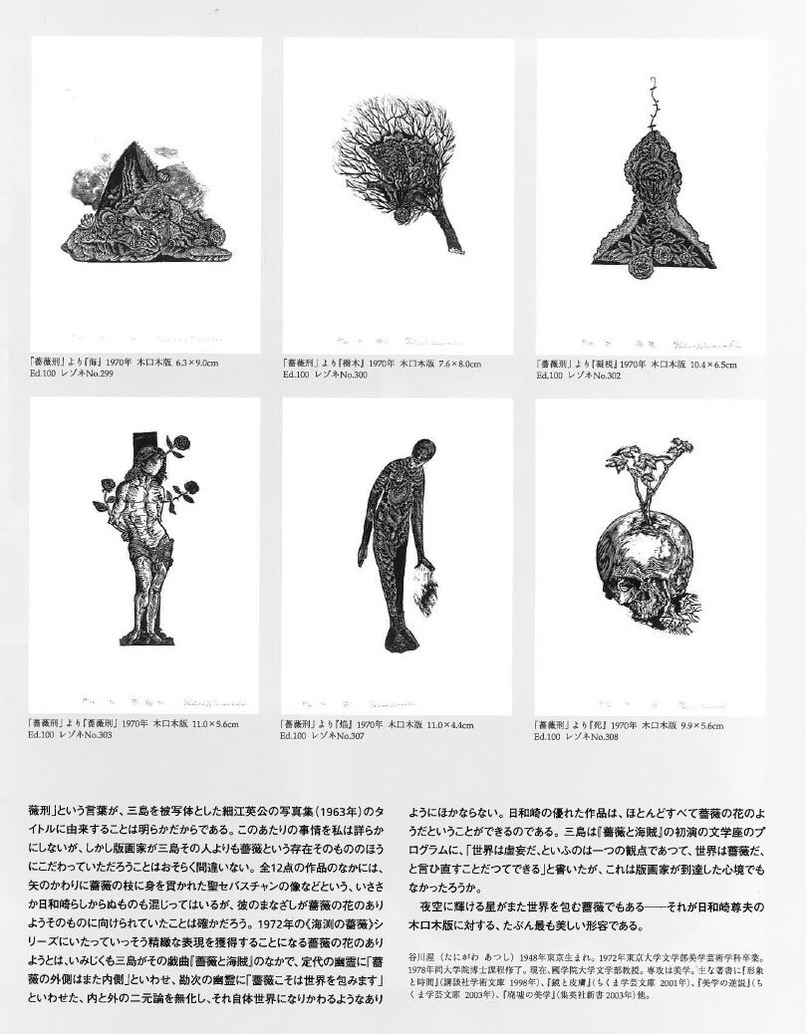 Vol.5 谷川渥「日和崎尊夫 星と薔薇」p17