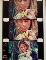 メカス・ひなぎく