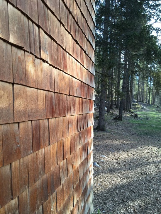 20200410杉山幸一郎img02