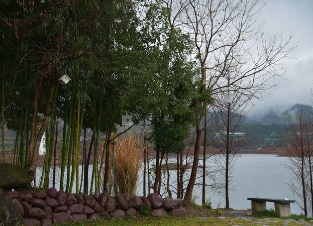 宮森敬子_画像4