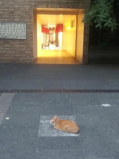 118276481_317692302875287_6746841788535622363_n