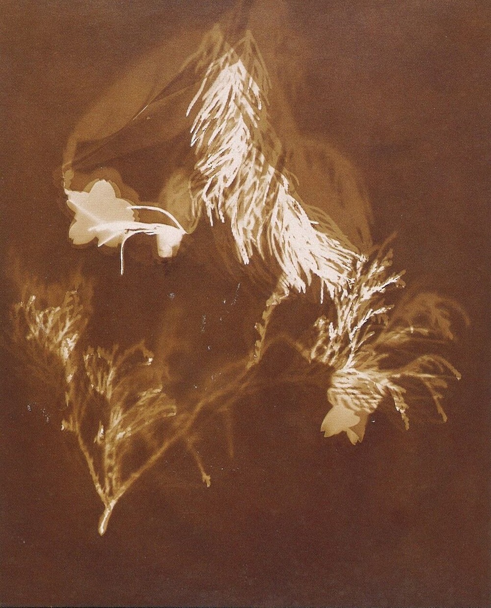 20240209153442_00001