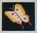 草間No.81「BUTTERFLY」