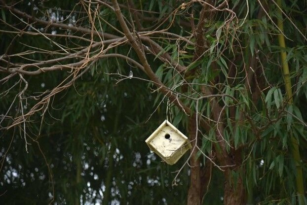 宮森敬子_画像5