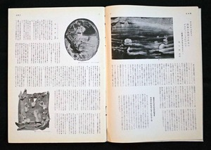図５ 瀧口訳「対象の予想されないデカルコマニー」