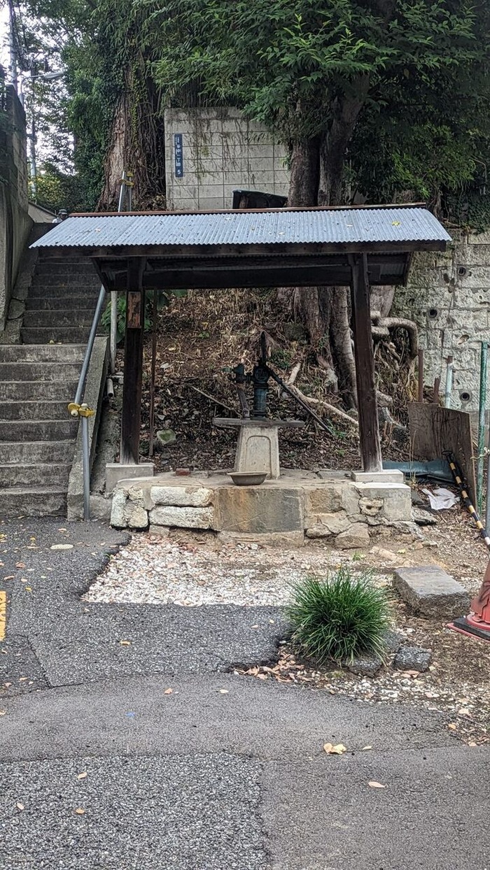 460869811_1237108760933632_4357748427748640516_n