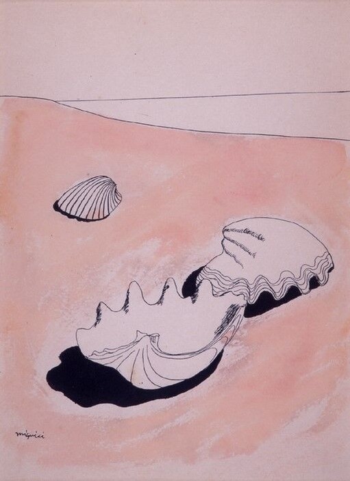 07中村惠一_蝶と貝殻