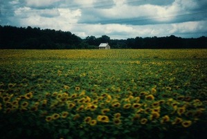 ueda_06_toulouse_france