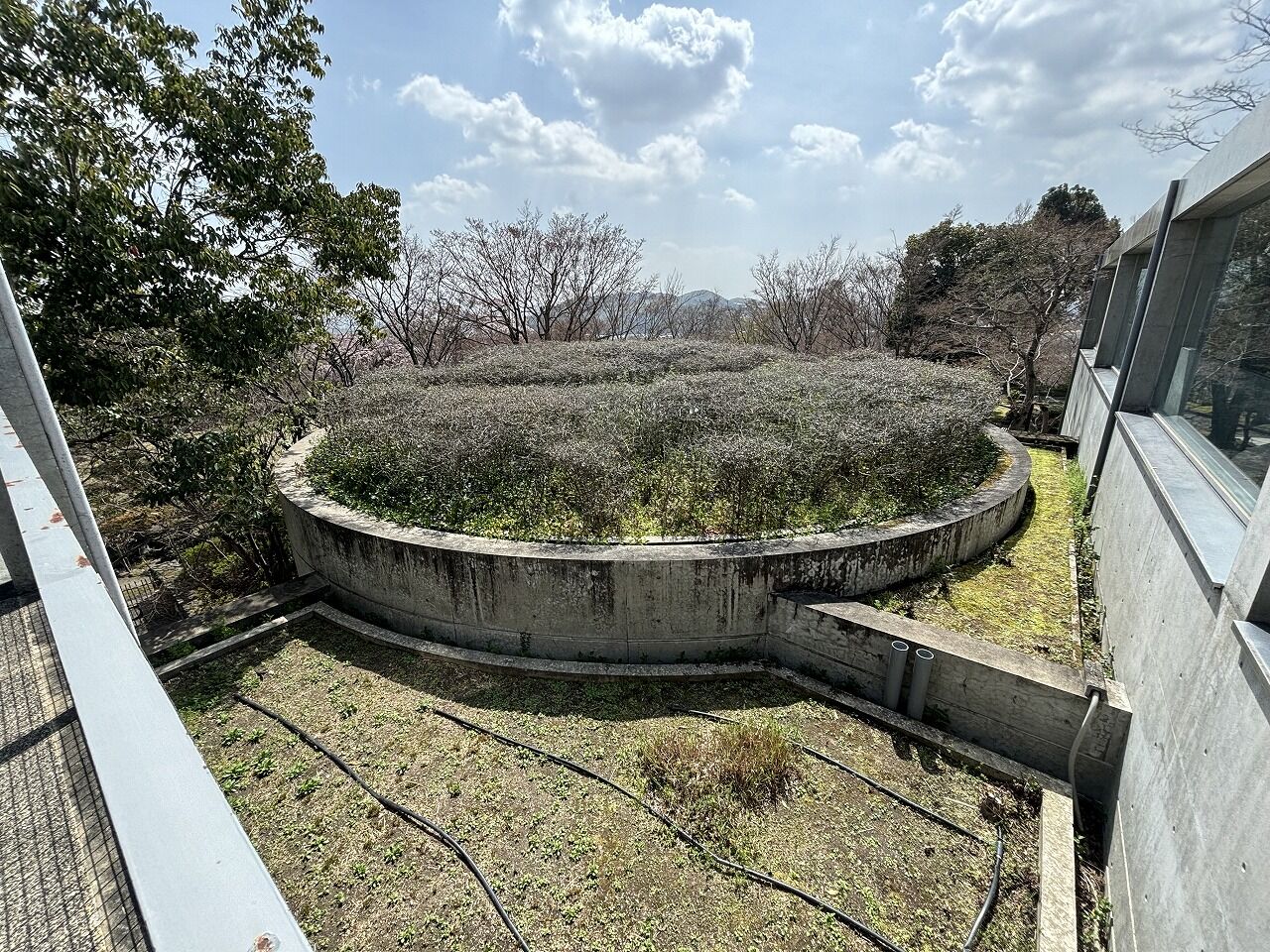 安藤忠雄　大山崎山荘美術館 (75)