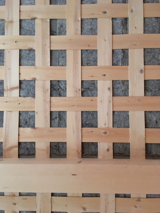 20200410杉山幸一郎img10