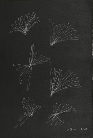 20170429_miyawaki_25