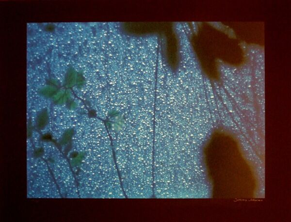 DSCF1219メカス雨だれ600