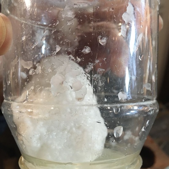 202204杉山幸一郎IMG 03