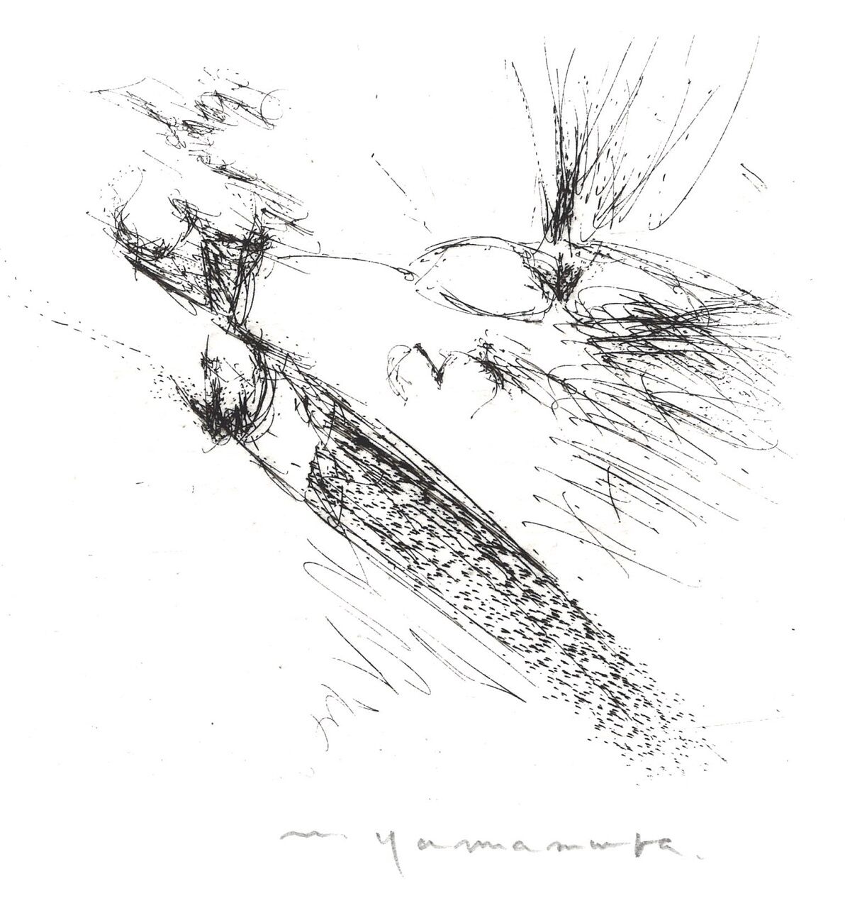 山村昌明版画集 「PROMINENCE」_00015