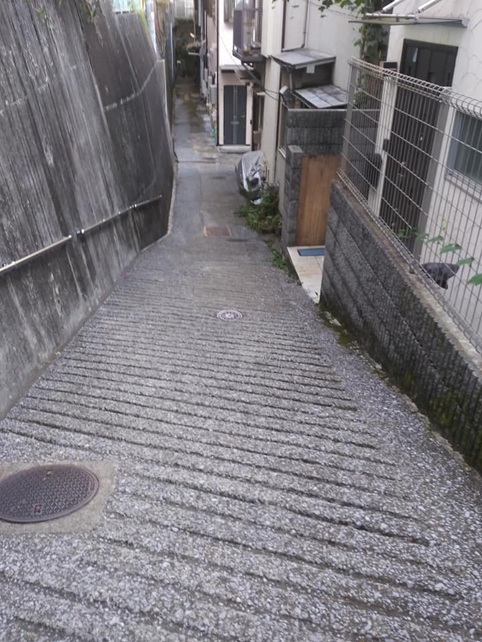 469857536_1293360095308498_8469981027844764199_n