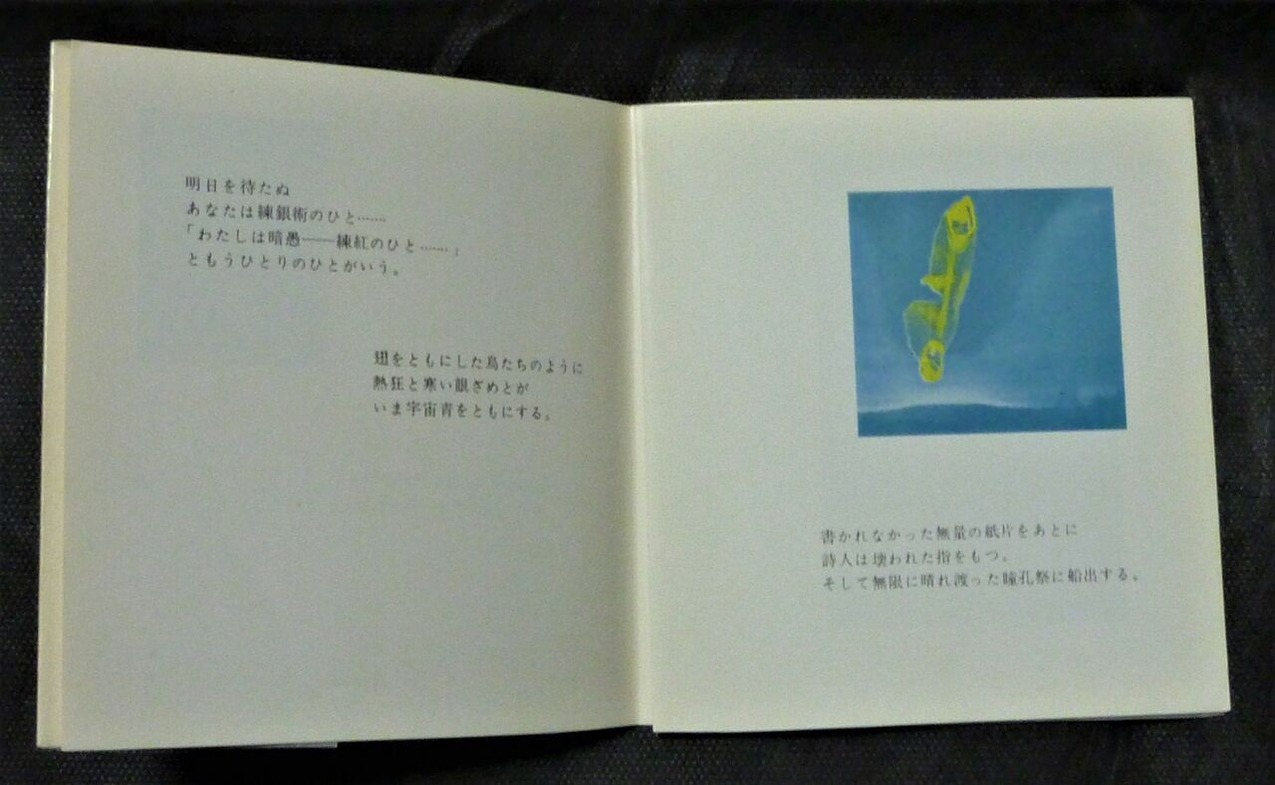 図版７.同上、内容の一部