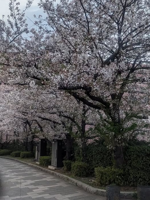 489280714_1382505043060669_3084828204738275129_n