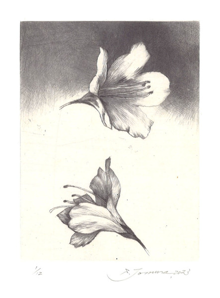 戸村茂樹_野外ノートAzarea 2