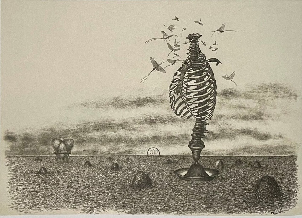 16 Toyen Cache toi Guerre-2