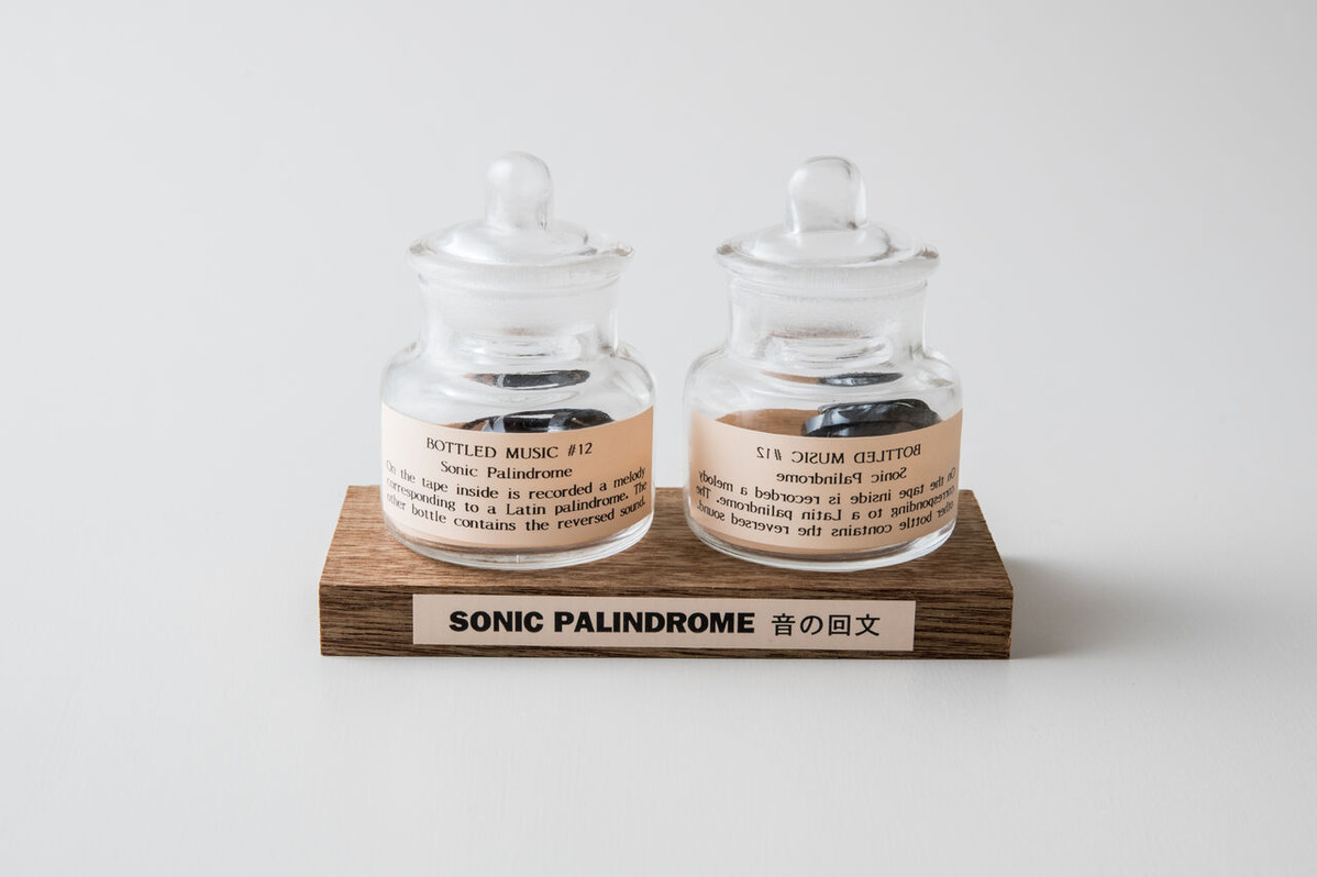Sonic Palindrome