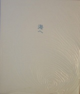 柳澤「海へ」表紙