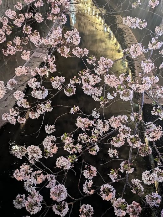 489529069_1380870239890816_1263038483836036017_n