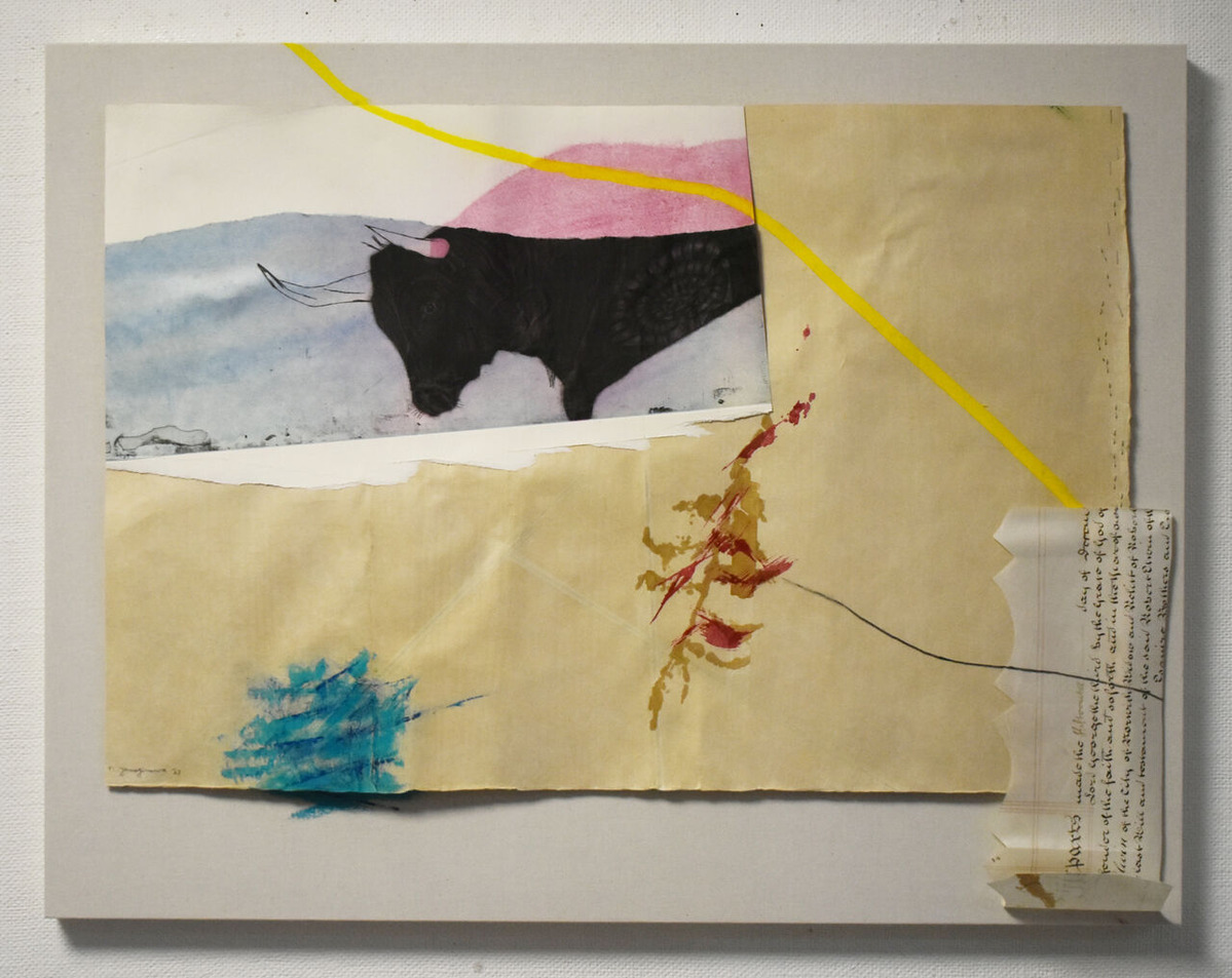 柳澤紀子　動物のことば・フクシマ