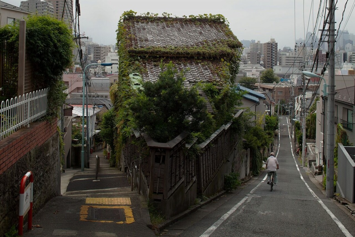 002　目白台三丁目　高田・西早稲田への坂道　2009.09.03