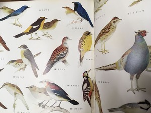 20190805小国貴司写真５