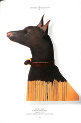 小野隆生作品集a