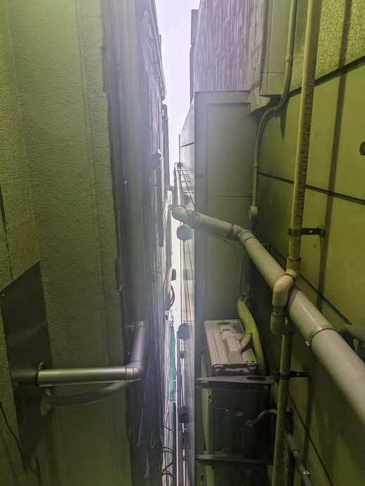 450185648_1186827782628397_5785761216125274207_n