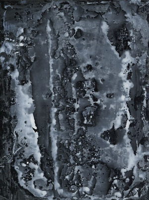 20150613_takiguchi2014_III_14