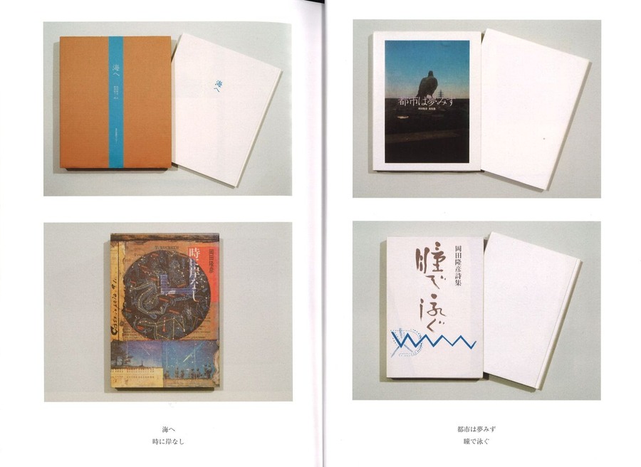 岡田隆彦詩集成口絵