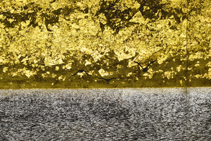 小さく鳥が3羽飛んでいます