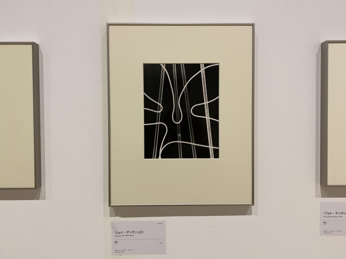 20220622東京都写真美術館「アヴァンガルド勃興」展 (7)