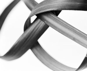 Line1_lilyGrass1107Tokyo_Select006