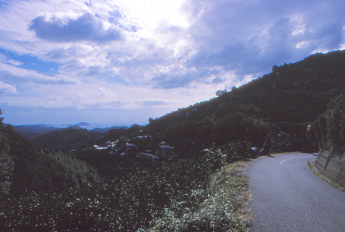 20190714花田佳明015長谷小への道