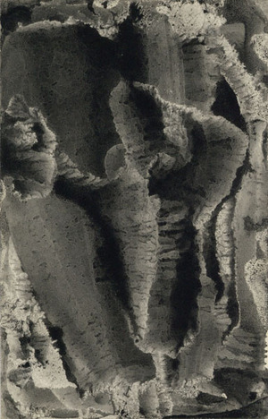 takiguchi2014_III_12