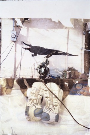 環境　アル・ゴア