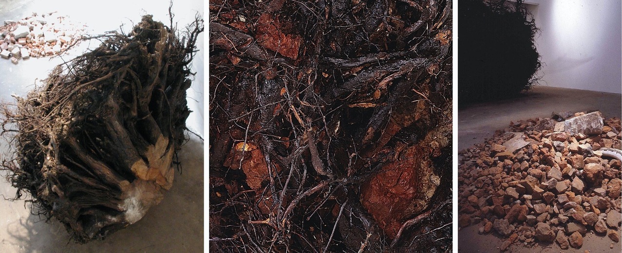 202009宮森敬子002