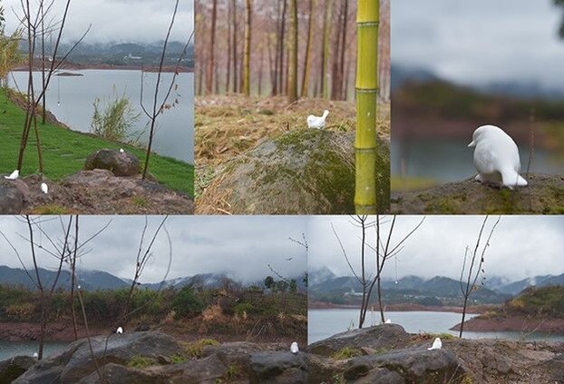 宮森敬子_画像8