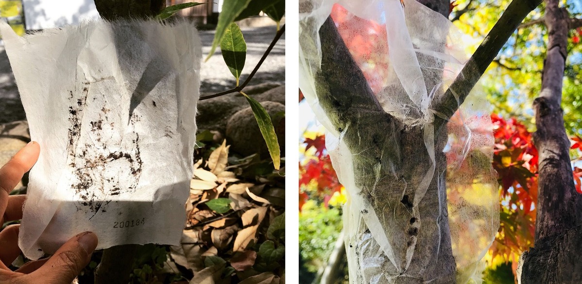 202012宮森敬子003