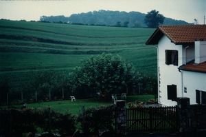 14_ainhoa_near-bayonne_france