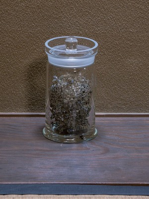 10《Ephemeral eternal》