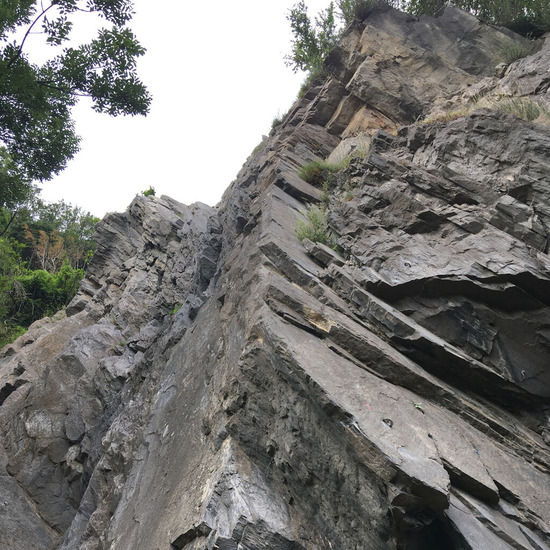 202107杉山幸一郎img03