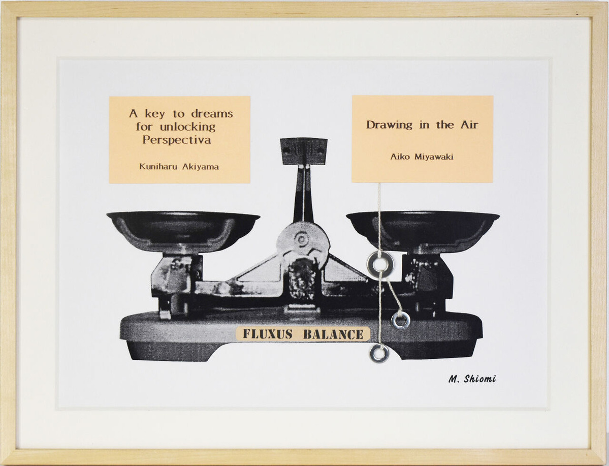 28　フルクサス・バランス