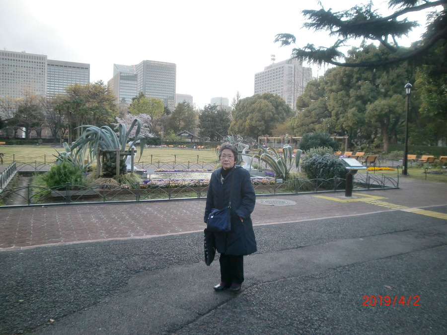 20190402連翹忌日比谷公園