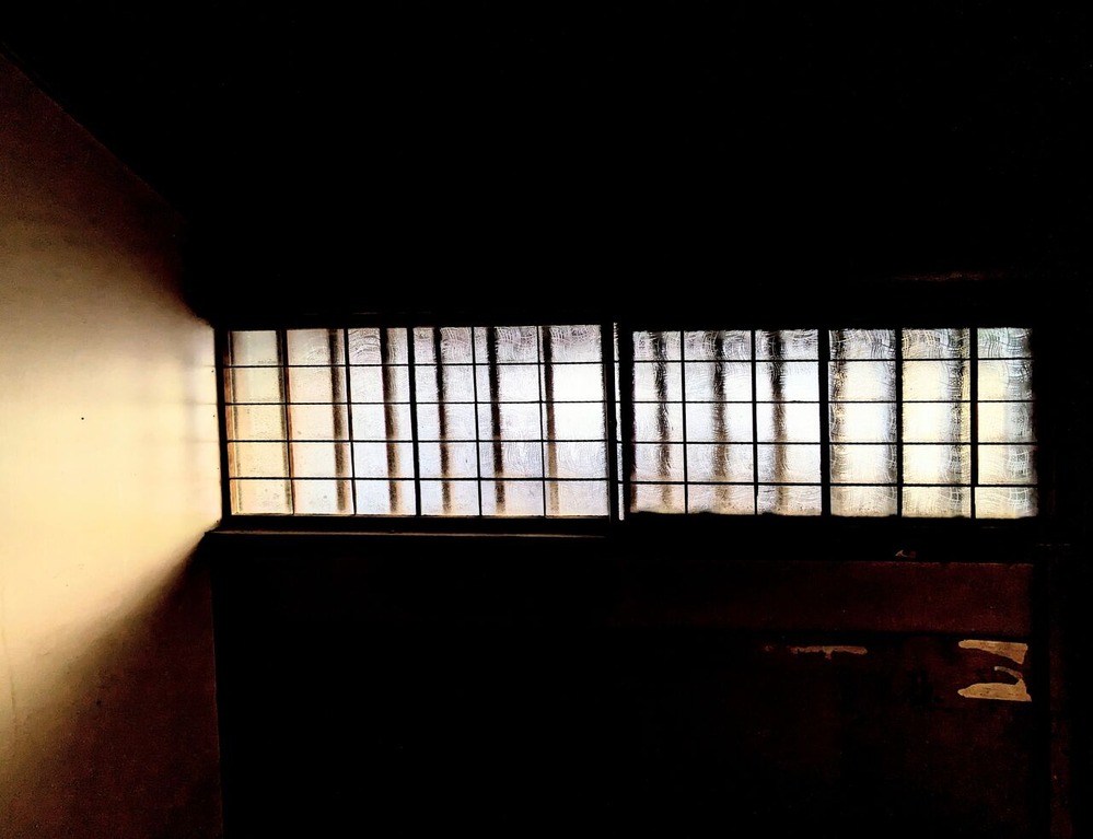 PXL_20231125_055417708